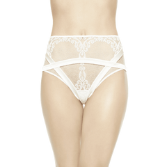 Light And Shadow full briefs