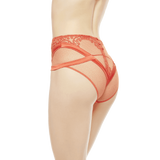 Light And Shadow full briefs