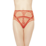 Light And Shadow full briefs