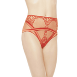 Light And Shadow full briefs